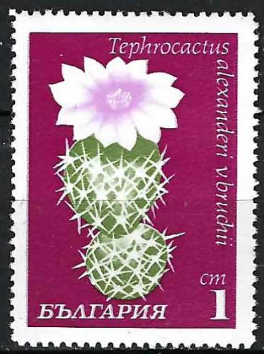 Bulgarie - 1970 - Y & T n° 1770 - MNH