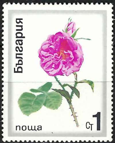 Bulgarie - 1970 - Y & T n° 1778 - MNH