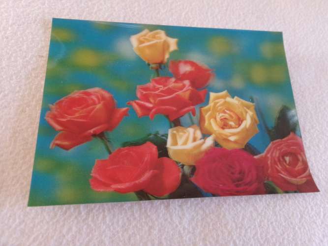 BELLE CARTE VISIORELIEF 3D....BELLES FLEURS...ROSES