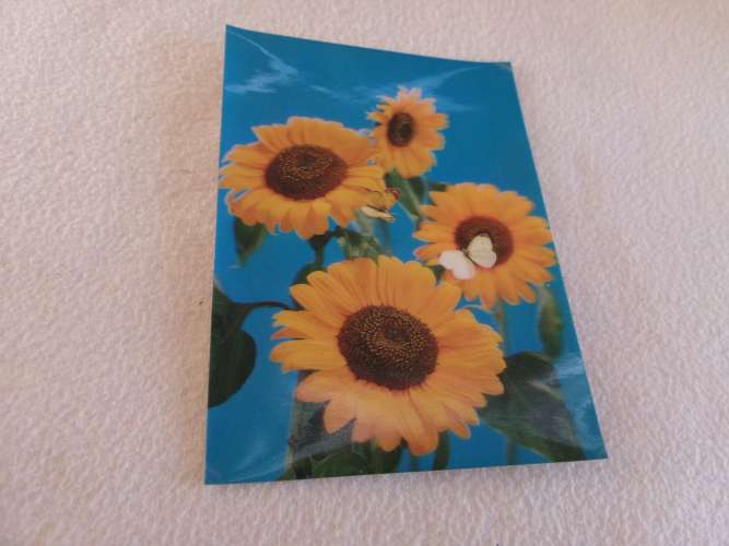 BELLE CARTE VISIORELIEF 3D....BELLES FLEURS...TOURNESOLS (SUN FLOWER)