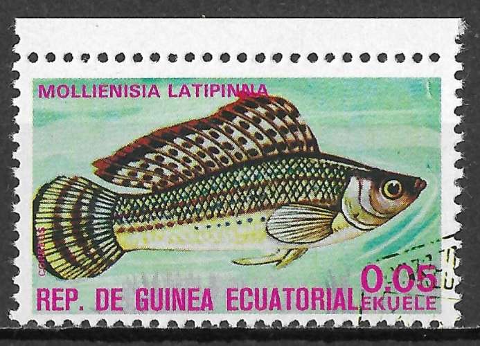 GUINEE EQUATORIALE 1975 YT72A - Poisson exotique. Mollienisia latipinna - oblitéré