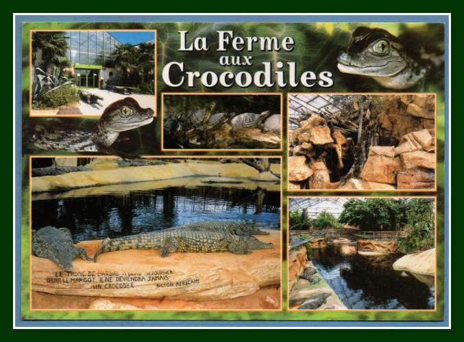  CM PIERRELATTE (26) La Ferme aux Crocodiles, voy. scan verso