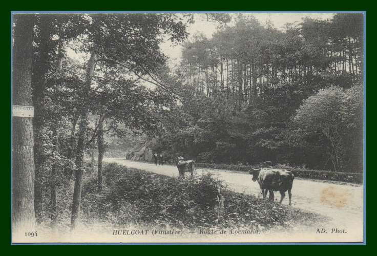 CPA HUELGOAT (29) Route de Locmaria, animée vaches, écrite