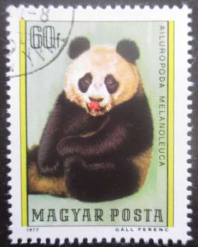 HONGRIE N°2588 Grand panda oblitéré