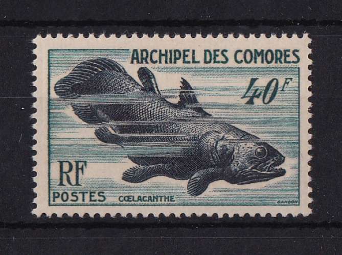 COMORES   YT   n° 13    neuf **   1954