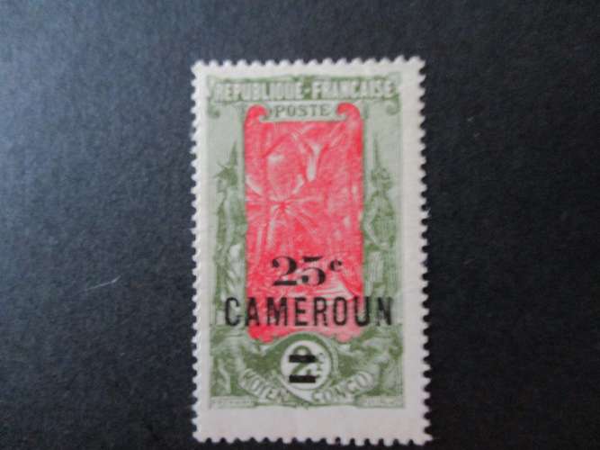 Cameroun y & t 102 * 1924