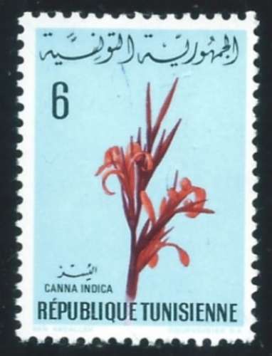 Tunisie - Y&T 0641 (**) - Fleurs -