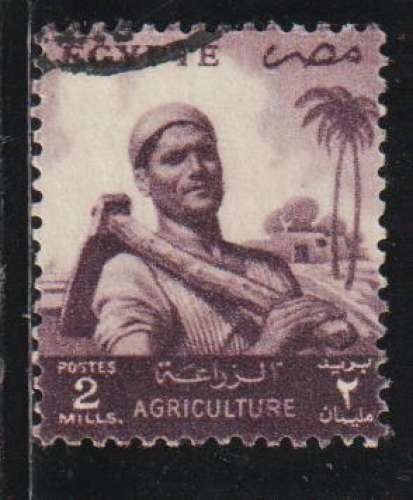 EGYPTE 1954 - Y&T N° 366