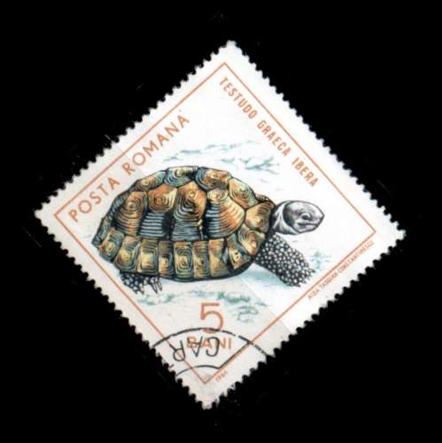 Roumanie Yvert N°2100 Oblitéré 1965 Tortue