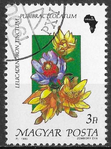 HONGRIE 1990 Y&T3263 - Flore d’Afrique. Leucadendron - oblitéré