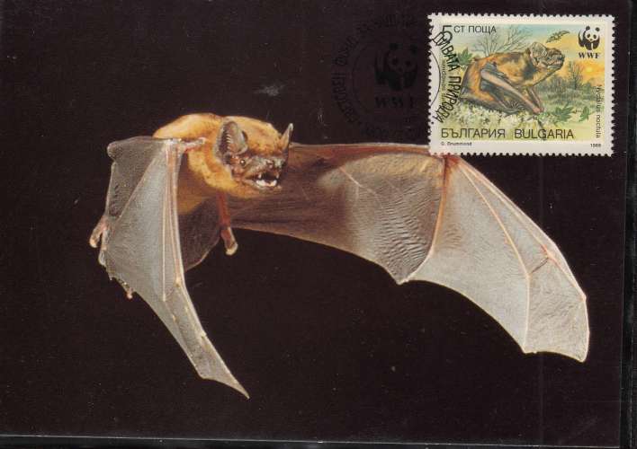 Bulgarie 1989  Y&T  3231/34  sur 4 CM WWF  chauve-souris