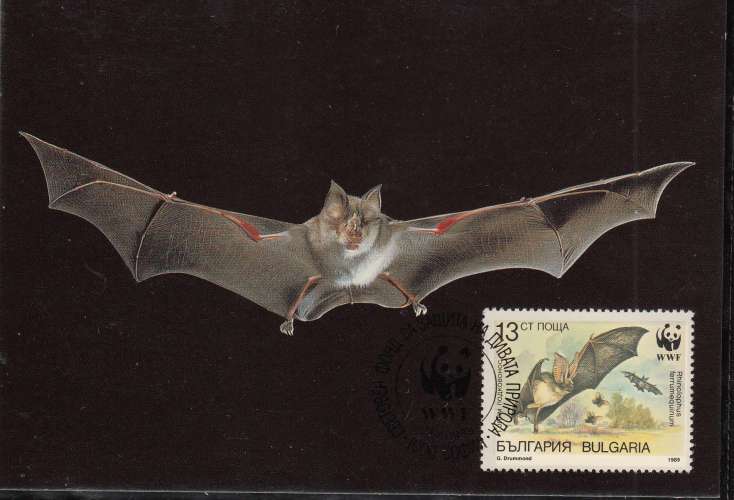 Bulgarie 1989  Y&T  3231/34  sur 4 CM WWF  chauve-souris