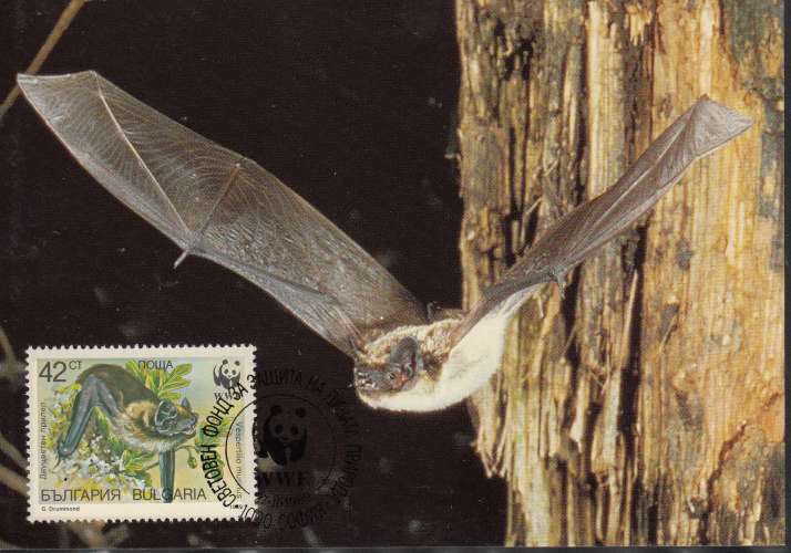 Bulgarie 1989  Y&T  3231/34  sur 4 CM WWF  chauve-souris