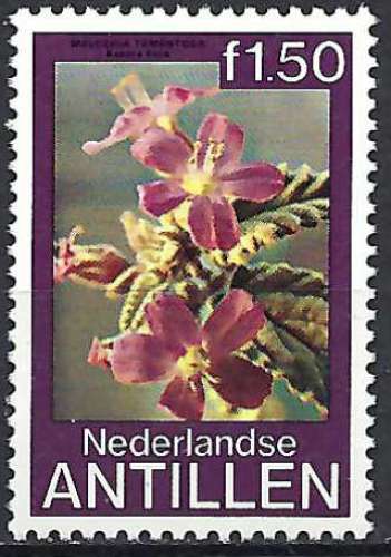 Antilles Néerlandaises - 1979 - Y & T n° 587 - MNH