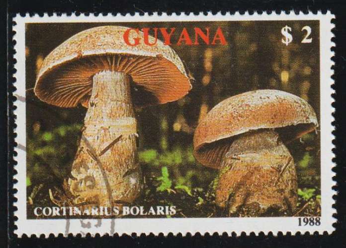 GUYANA 1989 -  Y&T N° 2077