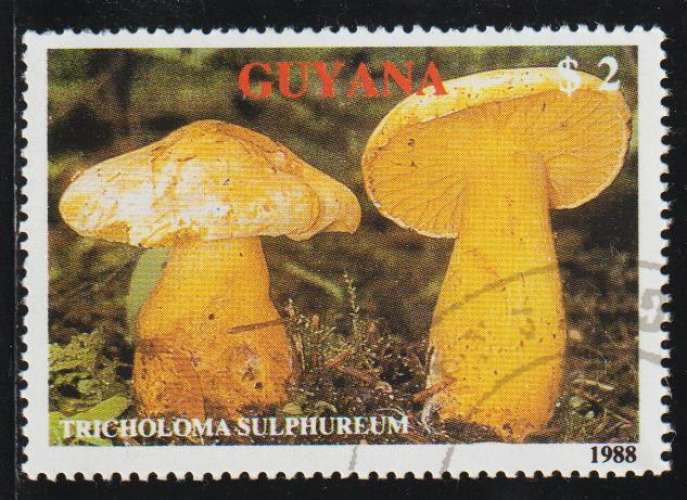 GUYANA 1989 -  Y&T N° 2078