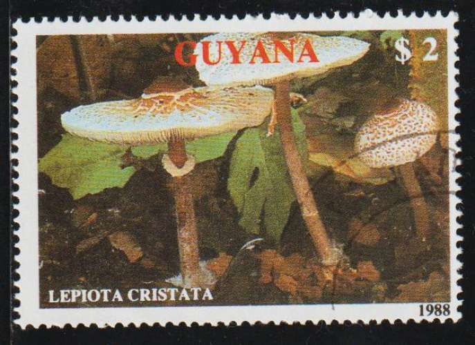 GUYANA 1989 -  Y&T N° 2079