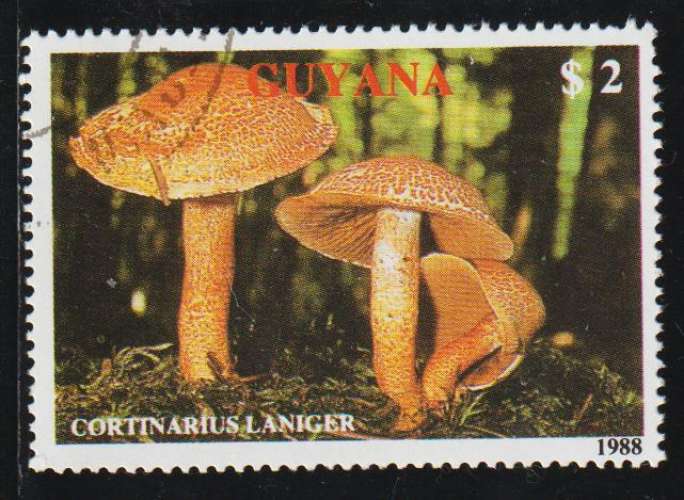 GUYANA 1989 -  Y&T N° 2080