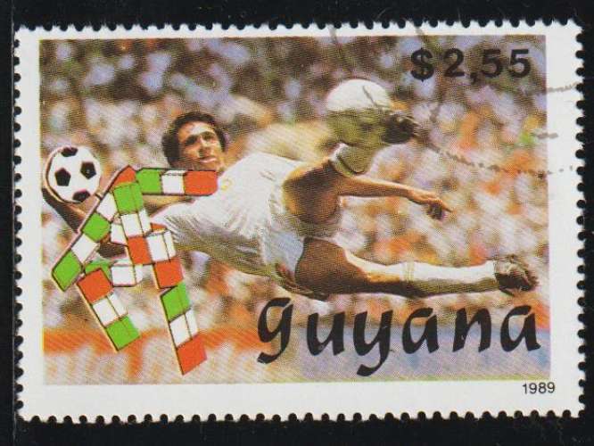 GUYANA 1989 -  Y&T N° 2143A