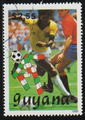 GUYANA 1989 -  Y&T N° 2143B