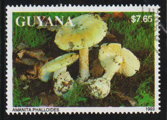 GUYANA 1993 -  Michel N° 4136