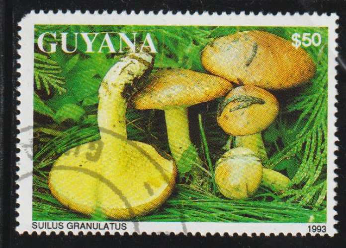 GUYANA 1993 -  Michel N° 4138