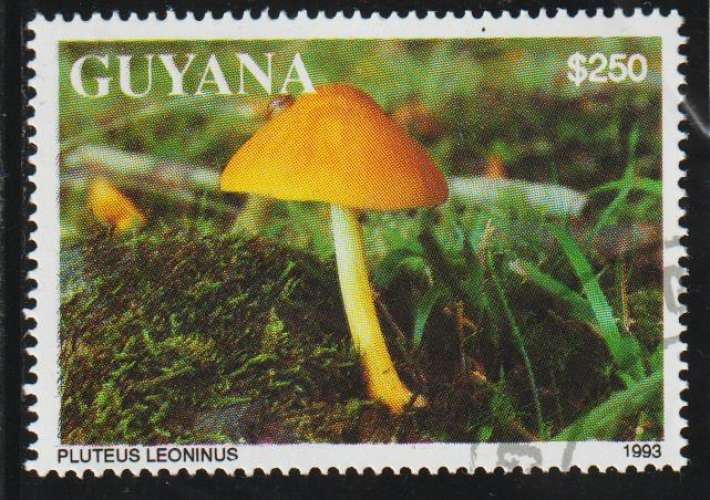 GUYANA 1993 -  Michel N° 4140