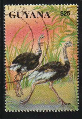 GUYANA 1993 -  Michel N° 4147