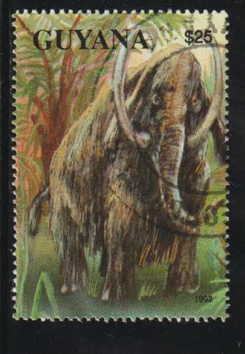 GUYANA 1993 -  Michel N° 4148