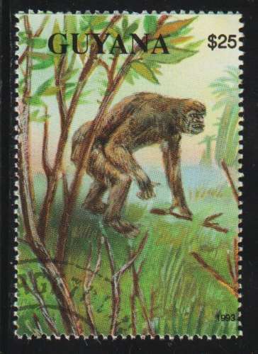 GUYANA 1993 -  Michel N° 4151