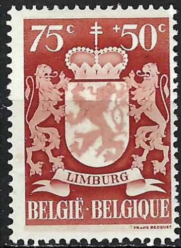 Belgique - 1945 - Y & T n° 720 - MH