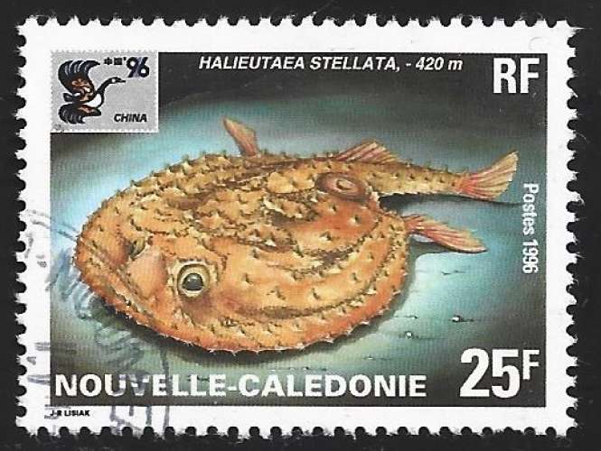 Nouvelle Calédonie  N° 710 Obl. Poisson 1996