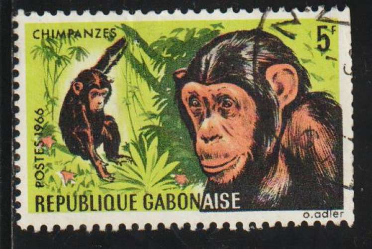 GABON 1967 - Y&T N° 205