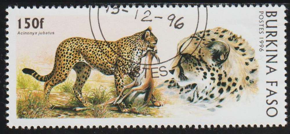 BURKINA FASO 1996 - Y&T N° 1000