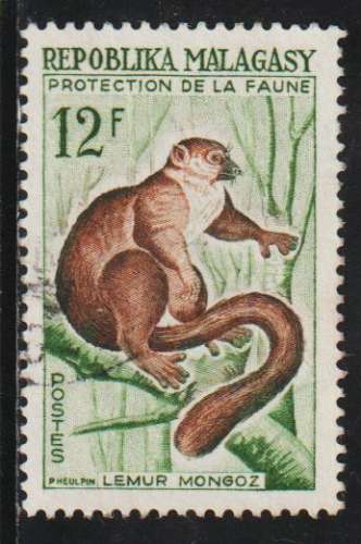 MADAGASCAR 1961 - Y&T N° 359