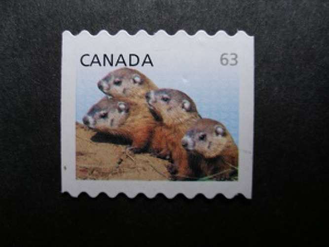 Canada 2013 - Marmota monax  - Oblitéré