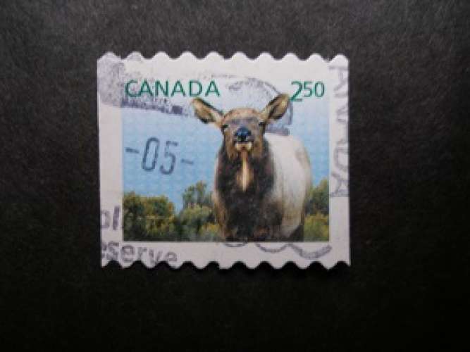 Canada 2014 - Wapiti ( cervus canadensis )  - Oblitéré