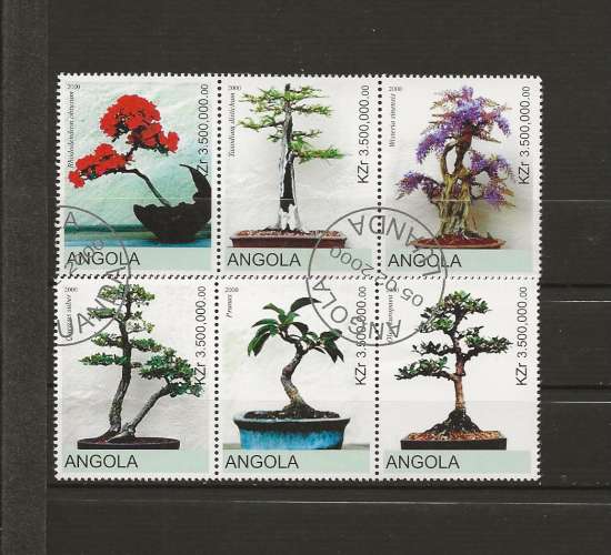 BONSAI DU MONDE - SERIE DE L'ANGOLA