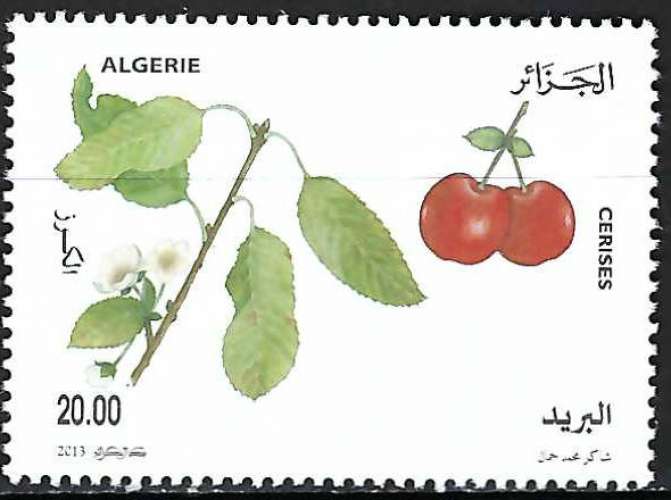 Algérie - 2013 - Y & T n° 1649 - MNH