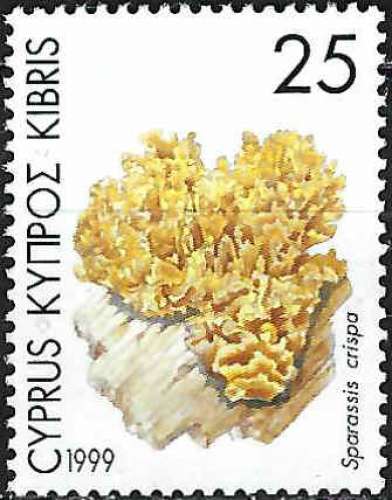 Chypre - 1999 - Y & T n° 931 - MNH