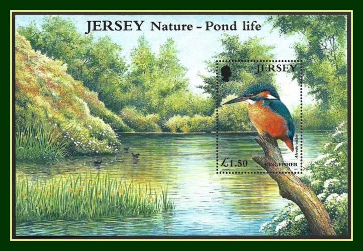 Jersey Bloc N° 35 ** MNH Oiseau 2001