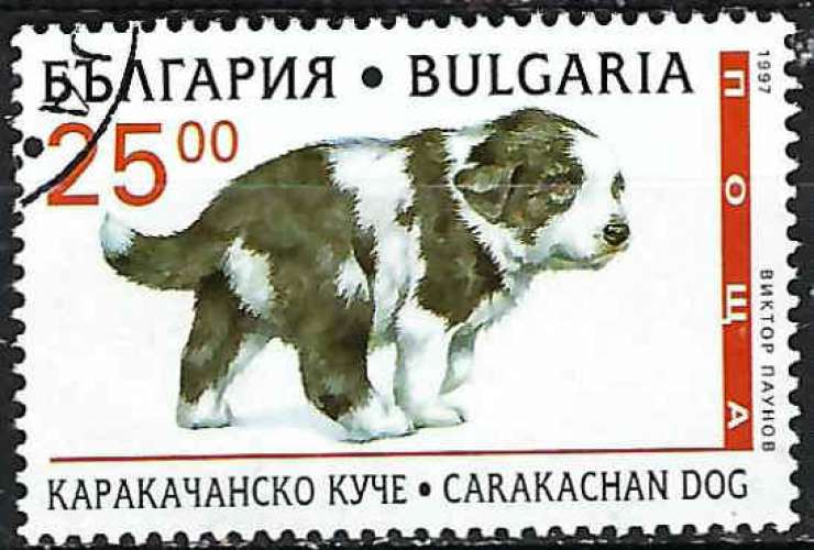 Bulgarie - 1997 - Y & T n° 3706 - O.