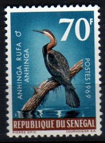 Oiseaux - Anhinga rufa