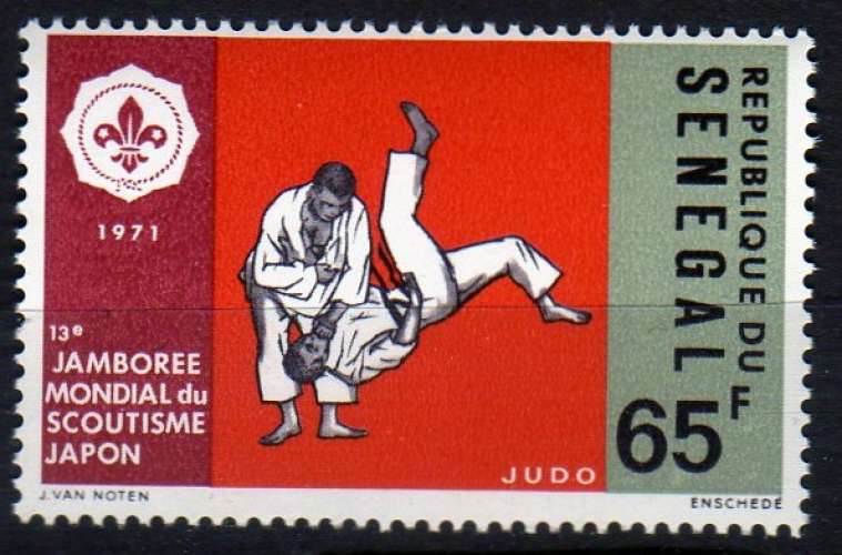 13 eme Jamboree mondial au Japon- Le judo