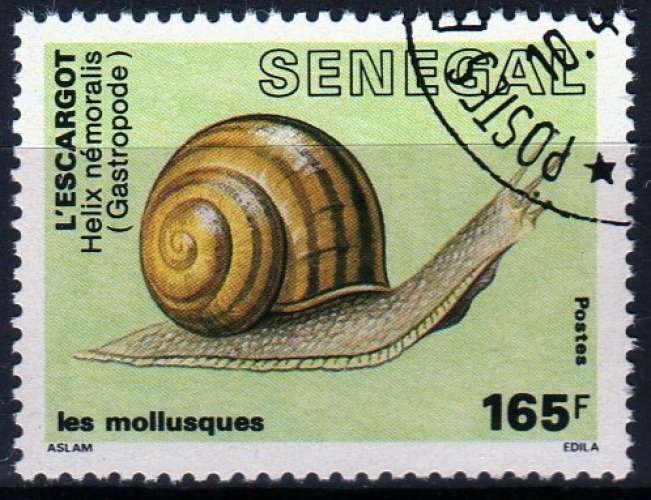 Faune - Mollusques - Helix nemoralis