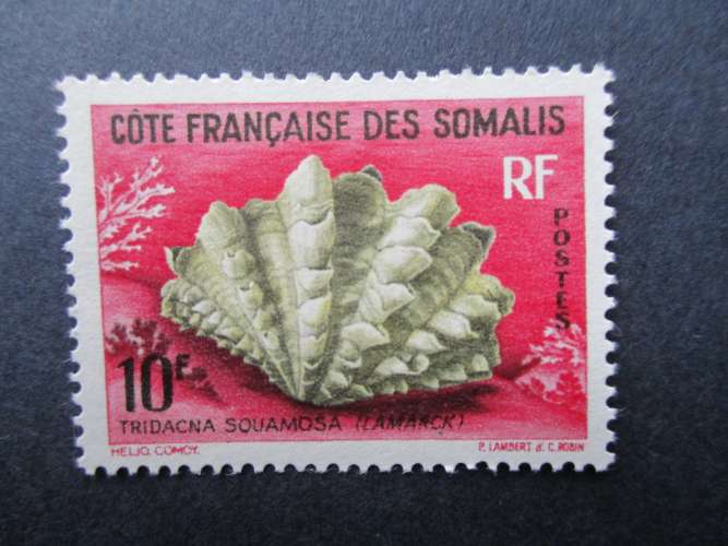 Cote des Somalis y & t  312 * 1962