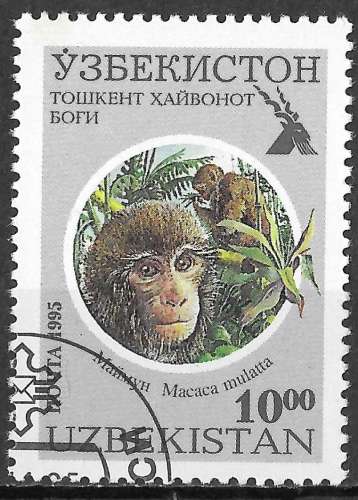 OUZBEKISTAN  1995 - Y&T N°61C - Macaque rhésus - oblitéré