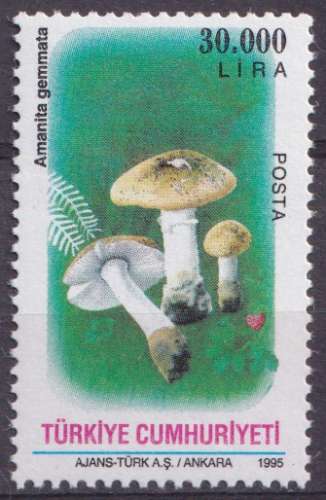 Turquie 1995 Y&T 2814 neuf ** - Champignons