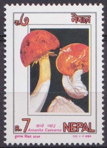 Nepal 1994 Y&T 550 neuf ** - Champignons 