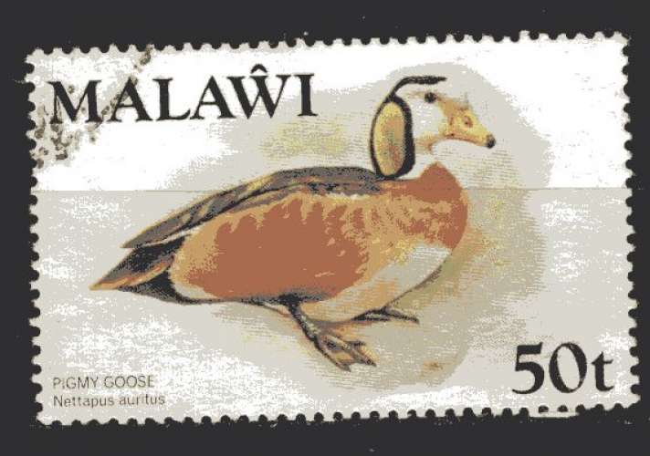 MALAWY 1975 ANIMAUX  CANARD  LE NETTAPUS  OBLITERE